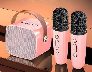 Speaker Dan Mic Portabel: Gaya Baru Hiburan Yang Multifungsi