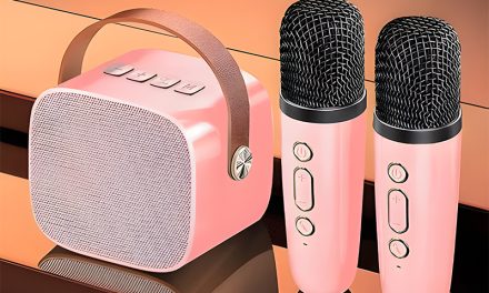 Speaker Dan Mic Portabel: Gaya Baru Hiburan Yang Multifungsi